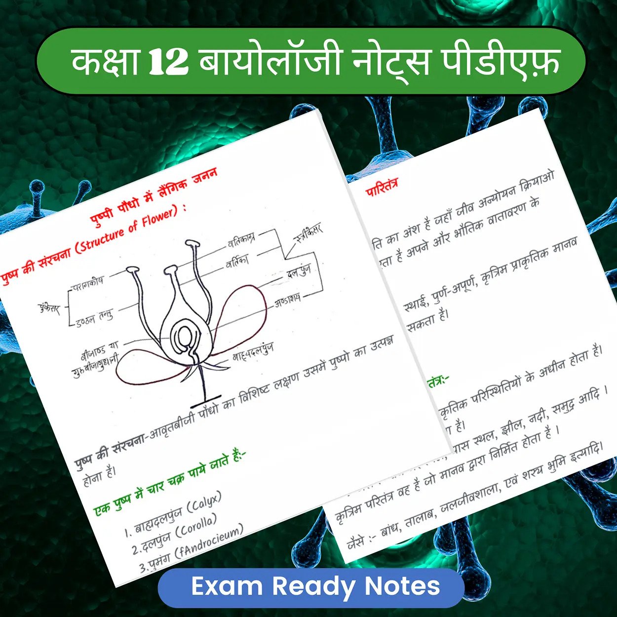कक्षा 12 बायोलॉजी नोट्स पीडीएफ (Topper’s Notes) | Exam Ready Colourful Notes